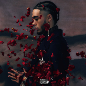 毛片大全在线观看
