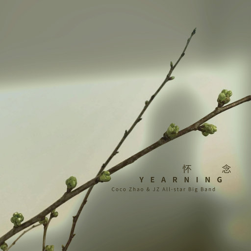 毛片大全在线观看
